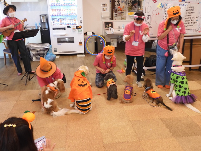 ドックセラピーを開催しました